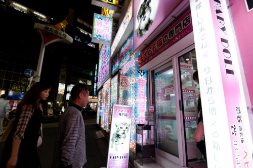 Shoppers enter an illuminated pet shop next to a "free information center" on Dogenzaka.