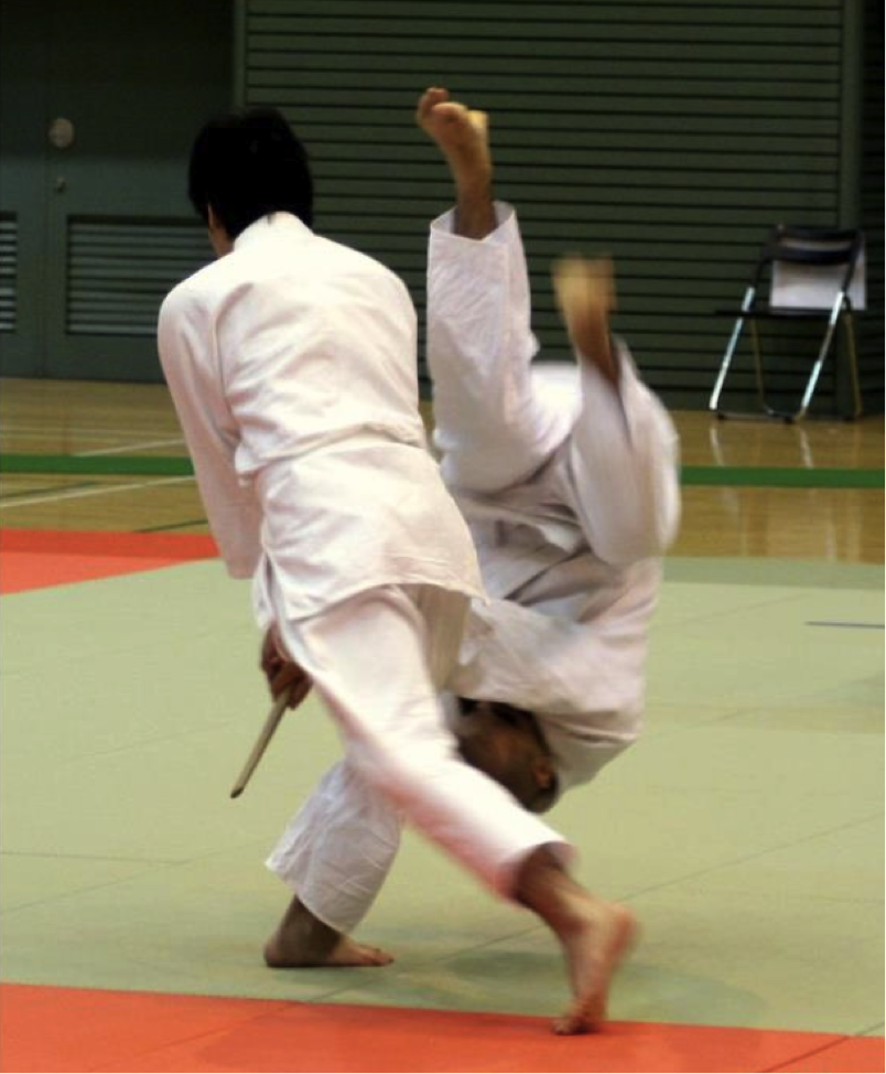 The author is thrown during the 2012 National Yoshinkan Demonstration